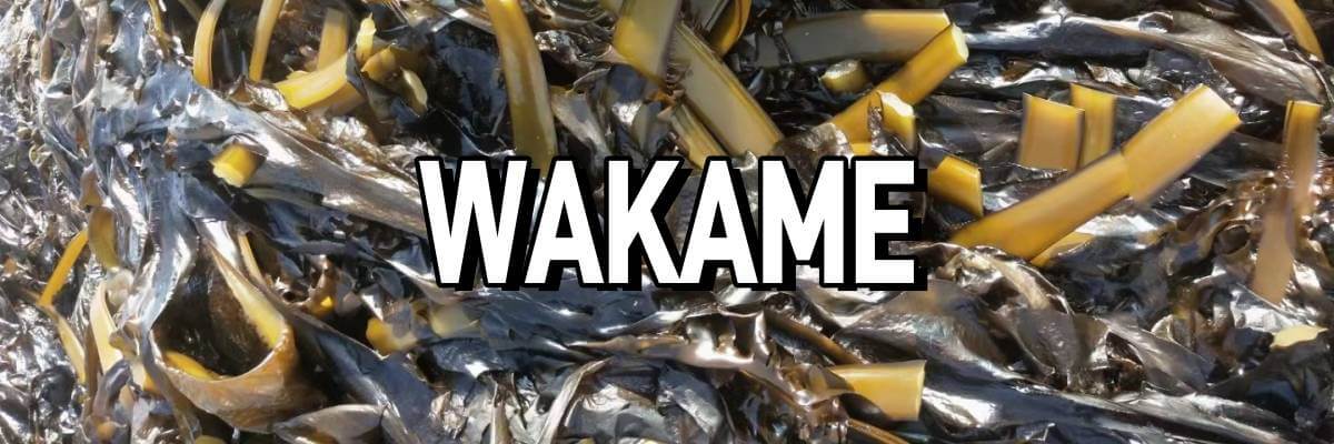 china wakame